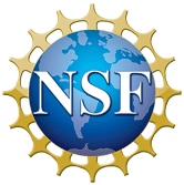 nsf1.gif